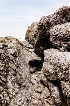 Beaches, rocky areas. The sea east of Thailand.