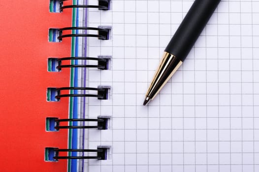 Notebook - organizer with the stylish pen.