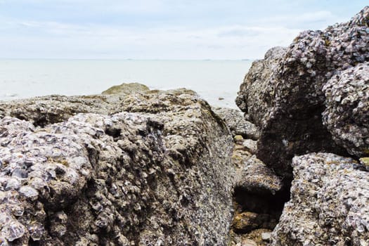 Beaches, rocky areas. The sea east of Thailand.