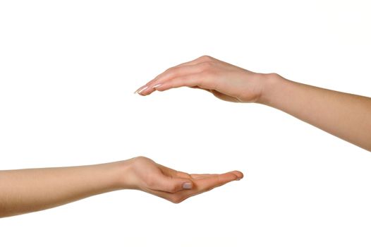 Two different female hands, from above and from below. Isolated on a white background