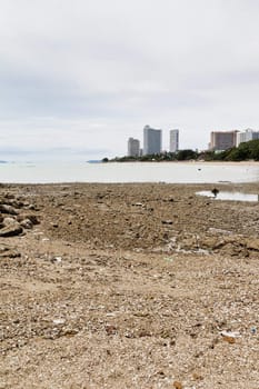 Beaches, rocky areas. The sea east of Thailand.