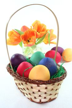 Easter basket with Easter eggs and tulips on a white background