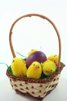 Easter basket with Easter egg and chicks on a white background