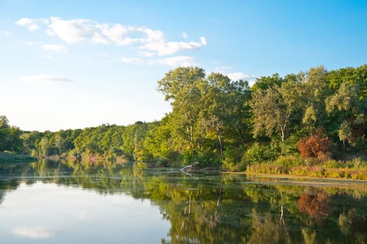 Picturesque forest and the river. Ukraine. Seversky Doneth