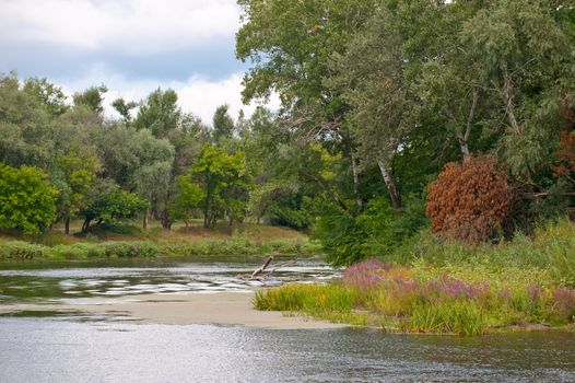 Picturesque forest and the river. Ukraine. Seversky Doneth
