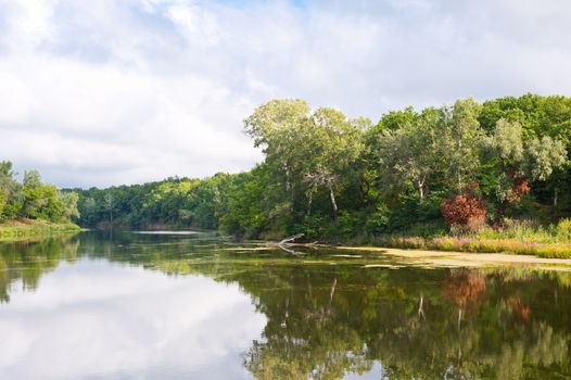 Picturesque forest and the river. Ukraine. Seversky Doneth