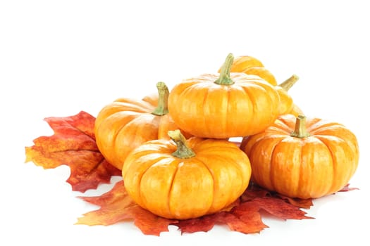 Macro of pumpkins and autumn leaves isolated on a white background. Clipping path included.