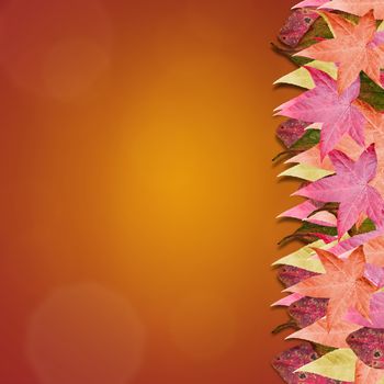 Gradient background with colorful autumn leaves. Room for copy space.