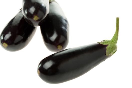 eggplant. A plant of family nightshade� oblong fruits of violet color