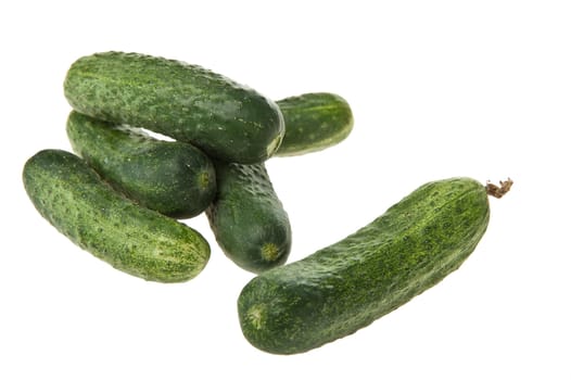 cucumber. green vegetable which grows on vines