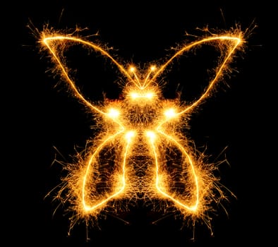 The butterfly from bengal fires. Abstract the image of an animal sparks of fire