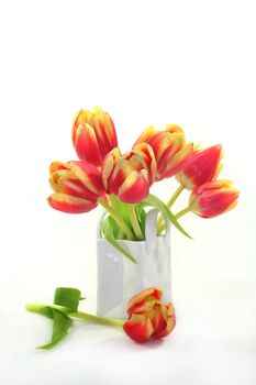 Bunch of tulips in a vase on a white background