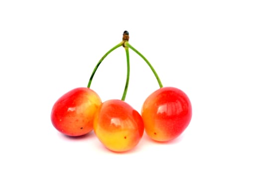 red cherries on a white background isolated