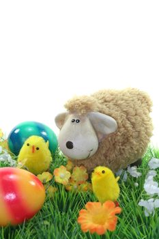 Passover with chicks and Easter eggs on a flower meadow