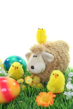 Passover with chicks and Easter eggs on a flower meadow