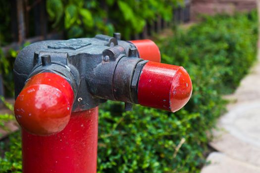 Fire hose on a luxury hotel.