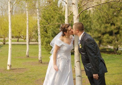 Newly-married couple. Pair young men in wedding day