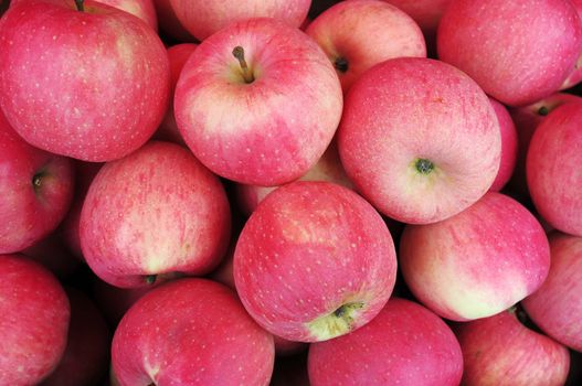 Piles of ripe red apples in autumn