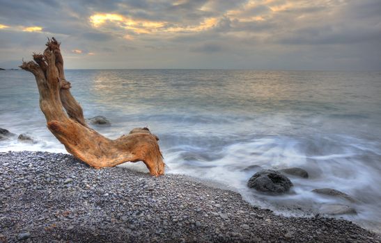 The night sea and timber. The sea photographed at a dawn with long endurance. Crimea, Ukraine