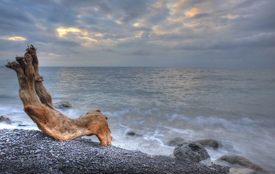 The night sea and timber. The sea photographed at a dawn with long endurance. Crimea, Ukraine