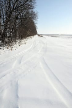 Winter field. A meadow covered by a snow. The East Europe