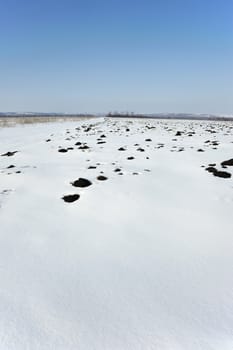 Winter field. A meadow covered by a snow. The East Europe