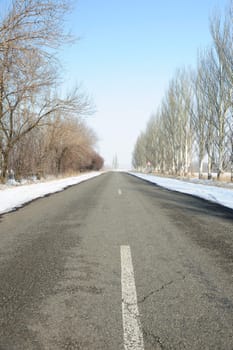 Road with a marking. A winter line with a snow on a roadside and trees