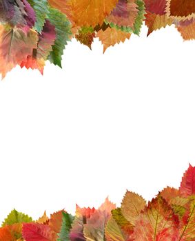 Frame from autumn leaves. Decorative registration isolated on a white background