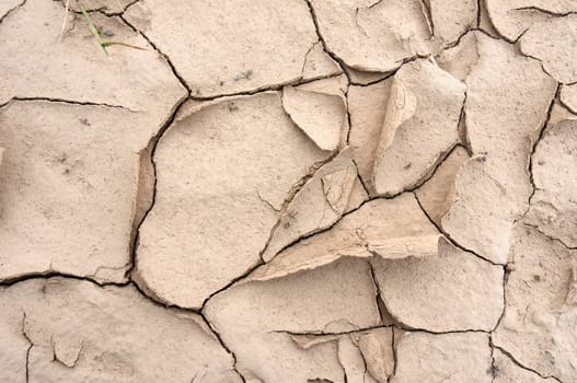 Closeup of dried and cracked earth