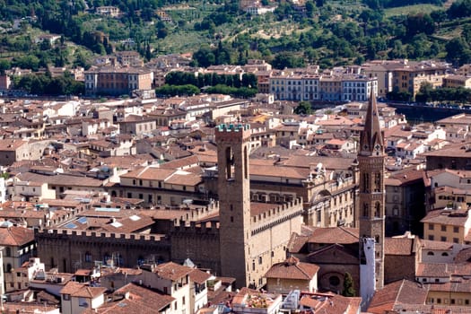 A Florence view in summer day
