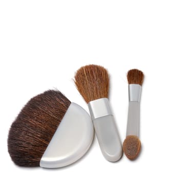 Cosmetic brushes. A set of subjects for care of a leather of the person