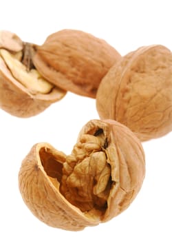 Walnut. It is isolated on the white background, the ripened fruit of a nut tree