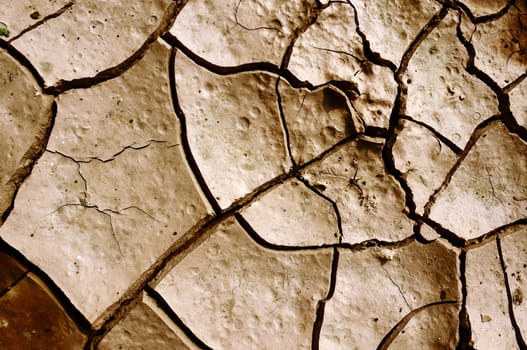 Closeup of dried and cracked earth