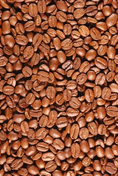 Coffee background. Perfect coffee grains. High detail