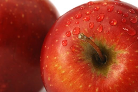 Apple. photo close up. Fresh drops of dew.