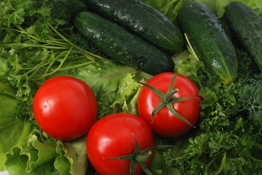 Gifts of the nature. Tomatoes, cucumbers, greens - fresh vegetables.