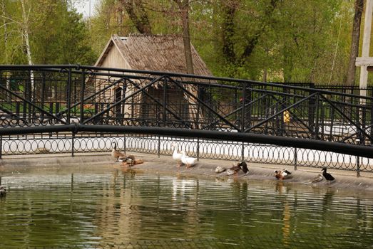The bridge through a reservoir. Park with animals and ancient exterior