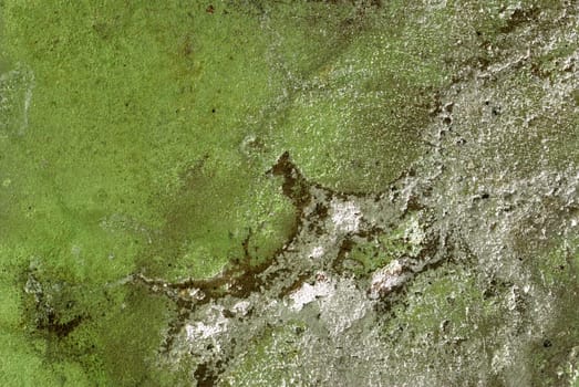 Structure of an old wall. Mouldy and a bare paint a wall of a building