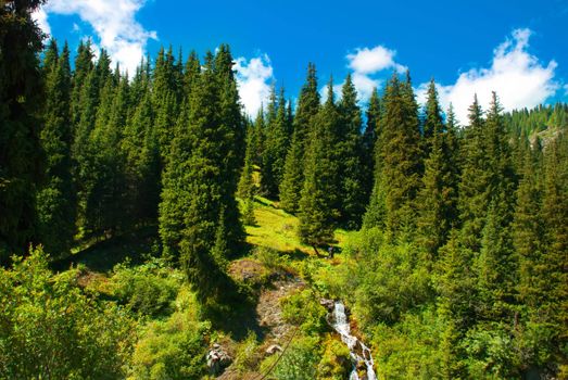 Landscape, a rich golden color of natural nature. Tourists in the mountains.