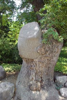 Fossilized tree. A tree trunk covered a stone and repeating its structure