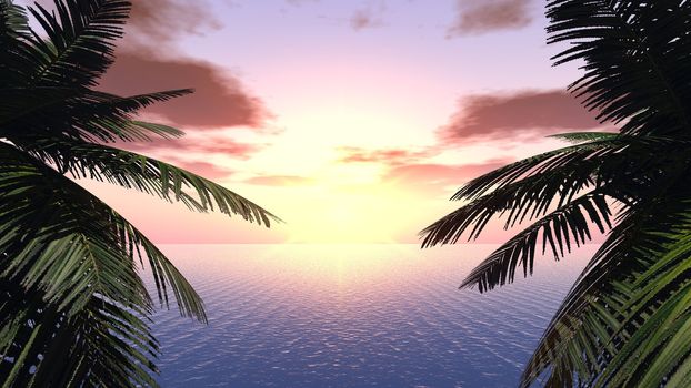 Sunset on a background of branches of palm trees and the effective sky. The yellow sun with very beautiful reflection at ocean
