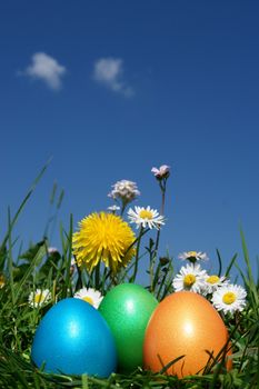 colorful Easter egg in the fresh  spring meadow