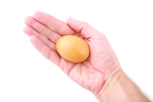 Hand holding easter egg isolated on white