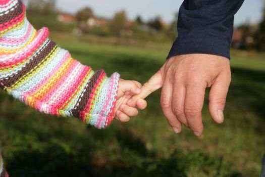 A parent holding the hand of its child while walking in a park............