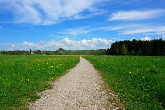 a path through a summer landscape on a sunny day