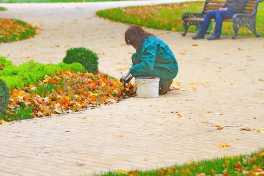 girl gardener removes fallen leaves from the flowerbeds in the park in autumn