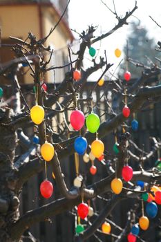Eastertree with colourful eggs outside in the