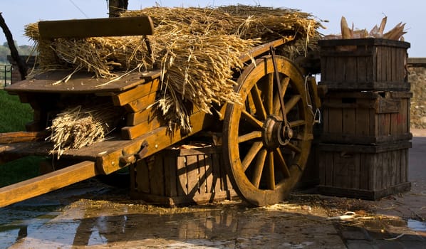Wooden wagon loaded with a number sheaves of wheat