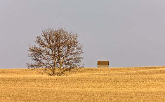 Farm Granary Prairie Canada