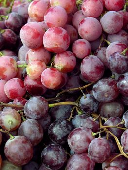 sweet and juicy red grapes